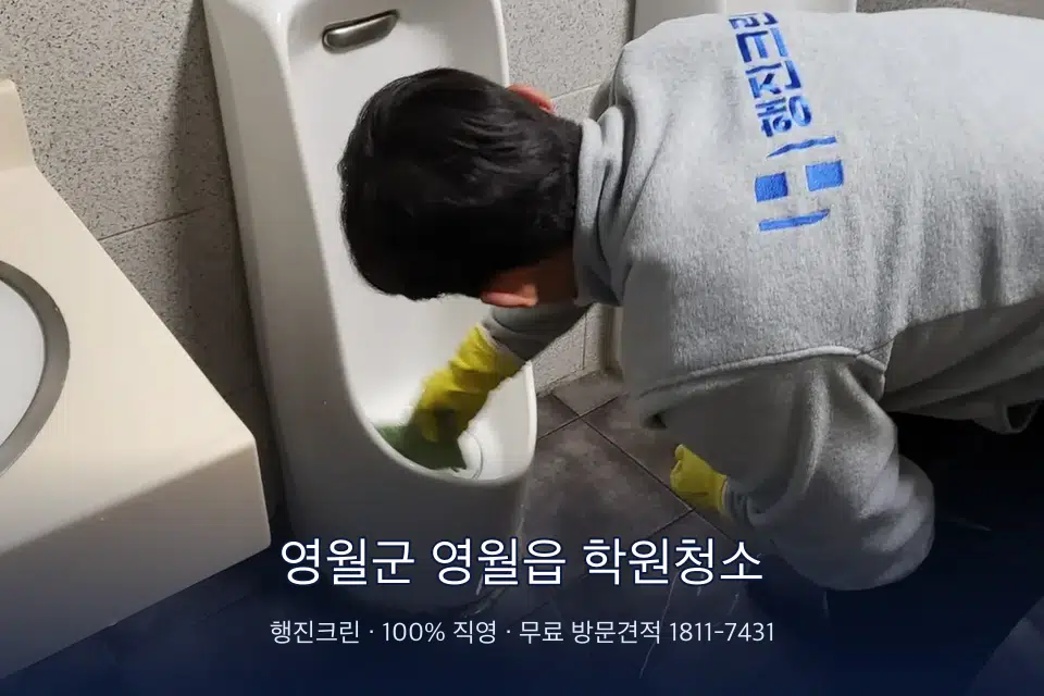 영월군 영월읍 학원청소 학원 강의실 카펫을 진공 청소하는 작업자